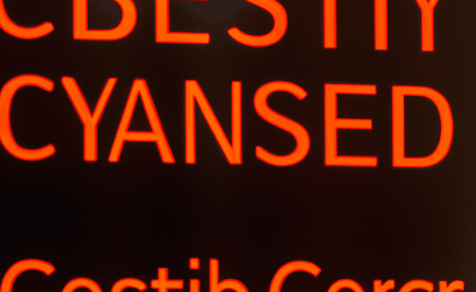 mlan_feature_1762801621