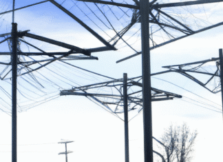 ACCI Advocates Technology-Driven Agricultural Practices to Drive Economic Growth