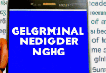 Nigeria Takes Historic Step Toward Digital Transformation with Groundbreaking e-Governance Legislation